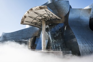 Guggenheim Museum Bilbao, architect Frank O. Gehry, Bilbao, Basque Country, Spain, Europe