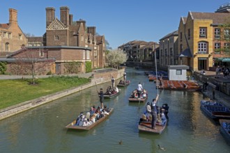 Punting, punting, Magdalene College, River Cam, Cambridge, England, Great Britain