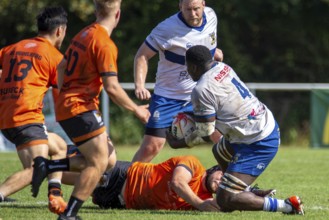 07.09.2024, Rugby 1st Bundesliga South/West, Season 2024/25, Matchday 1: RG Heidelberg vs TSV