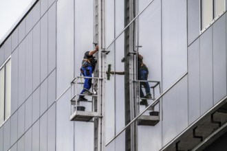 Window cleaner, facade cleaning, window cleaning, on a glass facade in Düsseldorf, ladder cage from