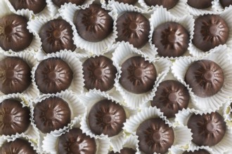Top view and close-up of hand made fine milk chocolates in opened chocolate box, Studio