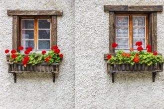 Flower boxes in front of old wooden windows in the historic village centre, Grimentz, Val