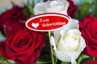 Valentine's greetings: Warm Valentine's Day greetings with a bouquet of white and red roses