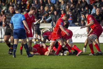 European Men's Rugby Championship, match for 7th place: Germany vs. Switzerland in Heidelberg