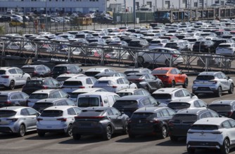 Duisburg, North Rhine-Westphalia, Germany - New cars, transhipment centre, car terminal in Duisburg