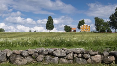 Falun red and Swedish yellow wooden house, stone wall, trees, meadow, blue sky, clouds, at Lake