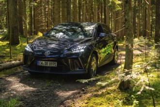 Black car in the forest on a sunny path with shade, Deer E- Carsharing, Calw, Black Forest,
