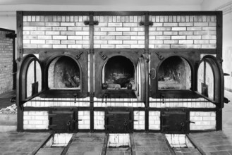 Incinerator in the camp crematorium, former beech forest concentration camp, now a concentration
