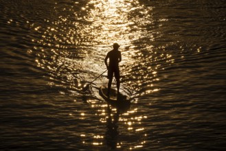 A paddler paddles on the Main at sunset in Frankfurt, Frankfurt am Main, Hesse, Germany, Europe