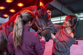 Women with horse in an innovative animal solarium in a rehabilitation center