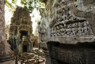 Ta Prohm, Angkor Wat, Angkor, UNESCO World Heritage Site, Siem Reap, Cambodia, Indochina, Southeast