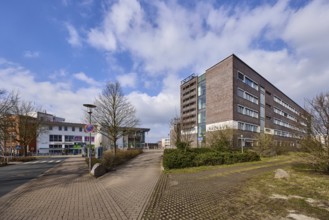Town hall, trees, hedge, lantern, pavement made of concrete paving stones, asphalt road, blue sky