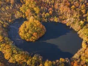 The leaves on the trees around the Gänseweiher pond near Maintal-Bischofsheim, close to Frankfurt