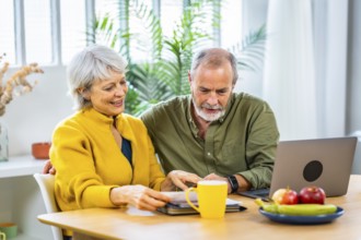 Relaxed senior couple doing paperwork and household accountability together using laptop and
