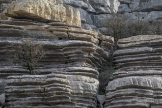 Bizarre limestone rock formations, El Torcal nature reserve, Torcal de Antequera, Malaga province,