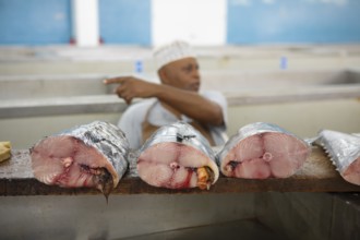Fresh fish for sale at Muttrah Fish Market, Muscat, Oman, Asia