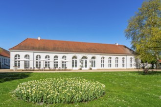 Bed with blooming tulips in front of the orangery of Neuhardenberg Castle, Neuhardenberg,