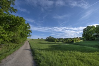 Franconian spring landscape, Beerbach, Middle Franconia, Bavaria, Germany, Europe