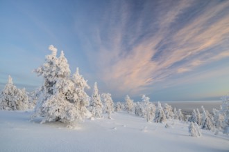 Winter landscape, Riisitunturi National Park, Posio, Lapland, Finland, Europe