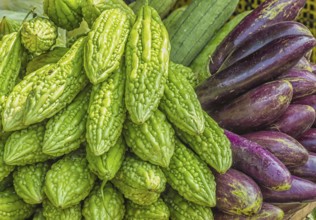 Fresh eggplant and momordica on the market