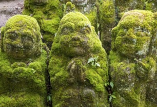 Moss-covered stone statues of rakans, the disciples of Buddha, Otagi Nenbutsu-ji temple, Kyoto,