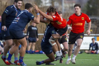 Rugby: Germany against MKS Pogon Awenta Siedlce, Poland in Heidelberg (test match of the German