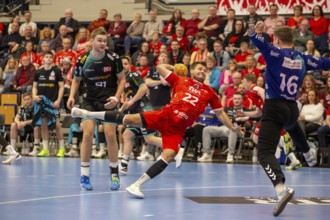 26.04.2024, 2. HBL (German Handball League), Matchday 30: Owl Ludwigshafen vs TuSEM Essen (Final