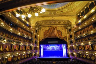 Buenos Aires, Argentina, The Teatro Colón (Spanish for Columbus Theatre, also known as the Colon