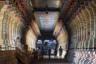 Colourfully painted pillars, temple hall, Ramanathaswami Temple, Rameswaram or Rameshwaram, Pamban