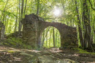 Ruins of the former Körse hilltop castle in Kirschau, Upper Lusatia, Saxony, Germany, Europe
