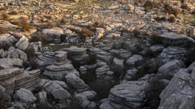 Bizarre limestone rock formations, El Torcal nature reserve, Torcal de Antequera, Malaga province,