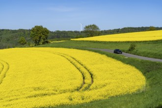 Car on a small country road through rape fields in full bloom, spring in the Elfringhauser Schweiz,