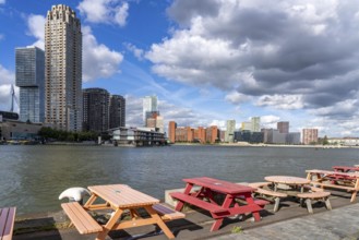 High-rise buildings at Kop van Zuid, at the Rijnhaven harbour basin, Rotterdam, Netherlands
