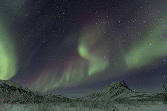Green Northern Lights (Aurora borealis) over snowy mountains, Brooks Range, Alaska, USA, North
