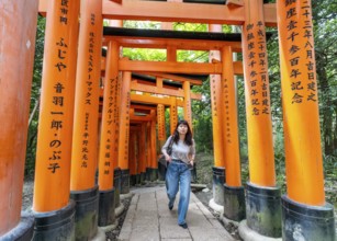Torii path, Fushimi Inari-Taisha shrine, Kyoto, Japan, Asia