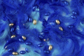 Golden and blue chocolate eggs amidst dense blue feathers create a festive texture