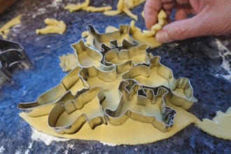 Swabian cuisine, Swabian Christmas biscuits, preparation of cookie cutters, shortbread biscuits,