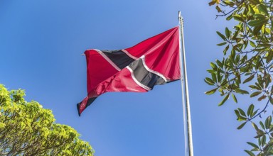 The flag of Tobago, Caribbean, flutters in the wind, isolated against a blue sky