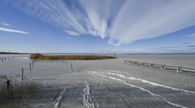 Frozen lake with ice in winter, Lake Neusiedl, Podersdorf am See, Burgenland, Austria, Europe