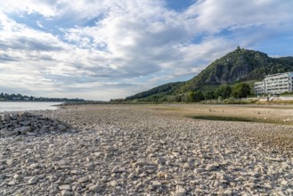 The Rhine at extremely low water, near Bad Honnef Rhöndorf, below the Drachenfels, Nonnenwerth