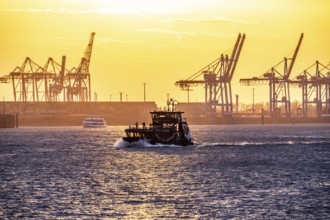Port of Hamburg, view of the Blohm + Voss shipyard, evening, cranes of the container terminals,