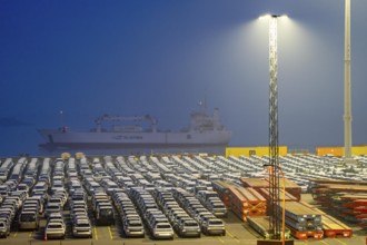 Parking space for import vehicles, hundreds of Hyundai Ioniq, electric cars, waiting for onward