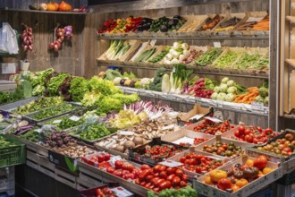 Market stall with different types of vegetables in the Markthalle Stuttgart, Baden-Württemberg,