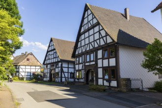 The Lippoldsberg Monastery is a former Benedictine convent that was the origin of the town of