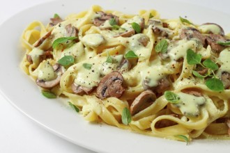 Fettuccine with champignons, basil, in cream sauce, homemade, no people