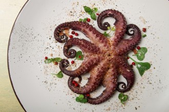 Boiled octopus, close-up, rustic style, no people, top view, close-up