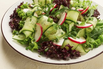 Vegetable salad, radishes and cucumbers, radish micro-greens, lettuce leaves, green onions,
