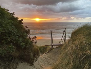 Sunset over the sea, the stairs lead down through the dunes to the beach, surrounded by plants,