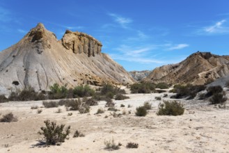 Dry desert landscape with sandy mountains and shrubs under a bright blue sky, Oasis de Lawrence de