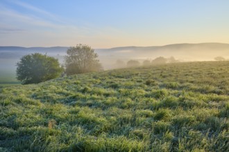Morning landscape with misty meadow and rolling hills in the background at sunrise, Mönchberg,